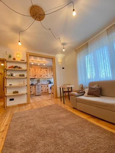 KULDIGA CENTRE wooden apartment in Kuldiga