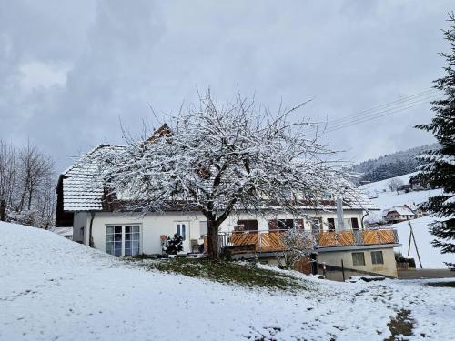 A szálláshely kívülről, Gästehaus Rehm (Gastehaus Rehm) in Biberach