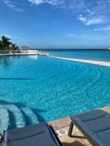 Beautiful Experience in Alice Town