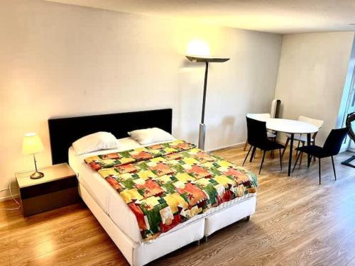 Brand New City Center downtown apartment, Zurich Brauer - Self Checkin, Curych (fotografie 8)
