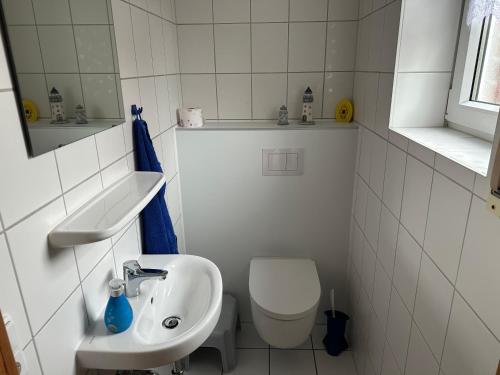Möwennest - image 5