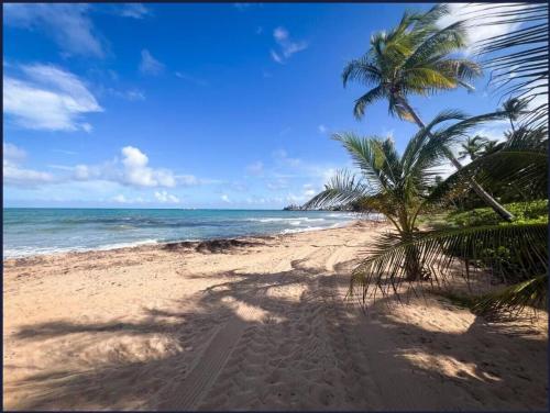 Nas proximidades, Villa Catalina Beach House in Humacao