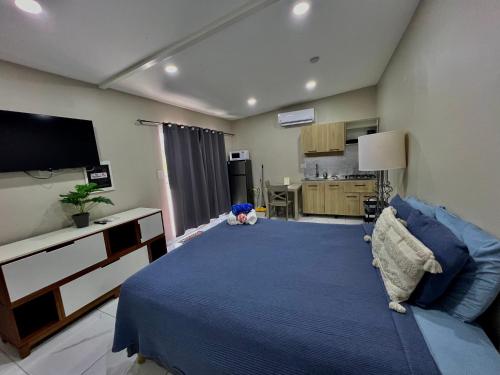 The Gold Vacation Apartments & Villa Aruba in Santa Cruz