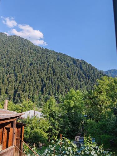 Napertskala Guesthouse in Oni