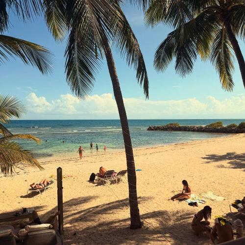 Villa Mer Veille - Location saisonnière - Sainte-Anne