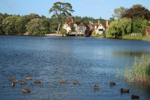 Bessie May Cottage in Beaulieu