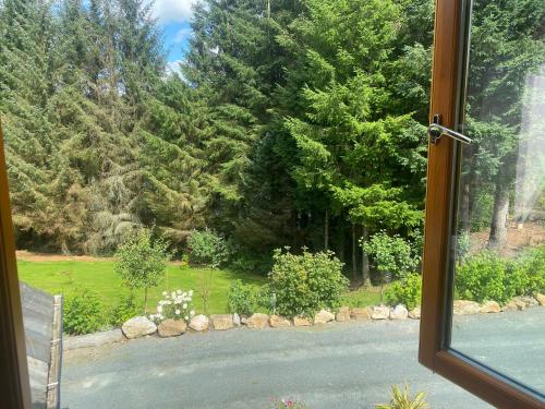 FOREST VIEW Woodland lodge in Wicklow