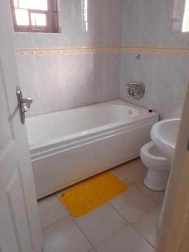 Delta Executive Inn in Seronga