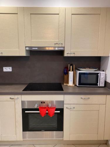 Kitchen, 2 pieces cosy - a 150m du telecabine in Saint-Étienne-de-Tinée