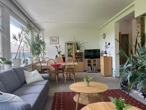 Pension Sonnenhof in Braunlage