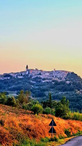 Villa Tiberina - Locazione Turistica in Porchiano