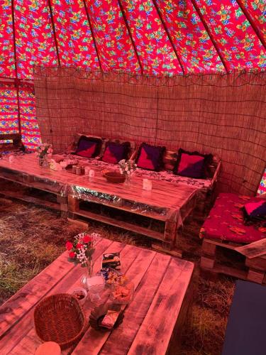 Aalam yurt camp Altyn-Arashan in Teploklyuchenka