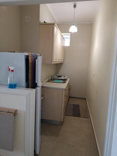 BoLeTiS in กลางเมืองไซโรปิกาโด