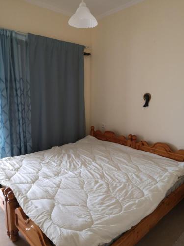 BoLeTiS in กลางเมืองไซโรปิกาโด