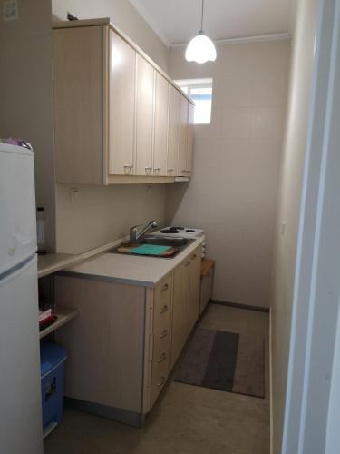 BoLeTiS in กลางเมืองไซโรปิกาโด