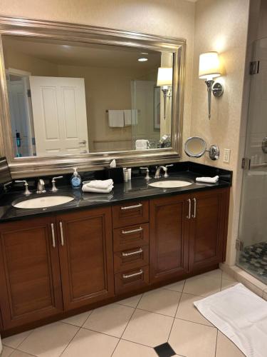 MGM Grand no resort fee , balcony, free valet parking, Las Vegas (foto 10)