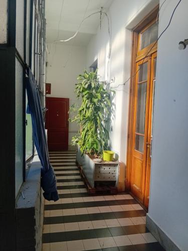 Buenos Aires Comfort