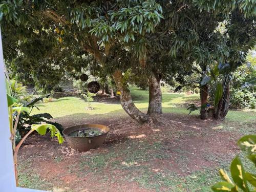 ทัศนียภาพ, Kaz'Arawak in ซานต์ โรเซ