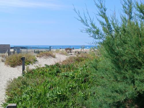 mobilhome vue mer acces direct plage sable fin SEMAINE UNIQUEMENT in Le Grau d'Agde