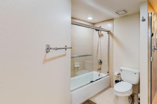 Beach Palms 309 - image 11