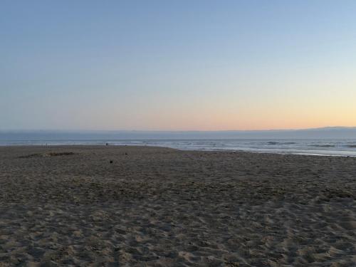 Seahorse Oceanfront Lodge - image 5
