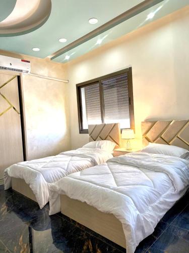 Luxury 2 Bedroom Apartment - image 8