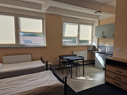 Hostel Park Dobra