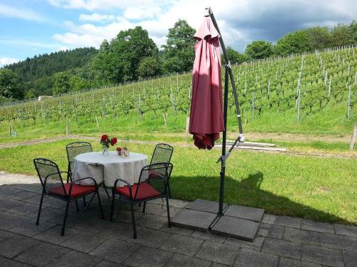 Iekārtas, Weingut-Brennerei-Ferienwohnungen Eugen Wissler in Au