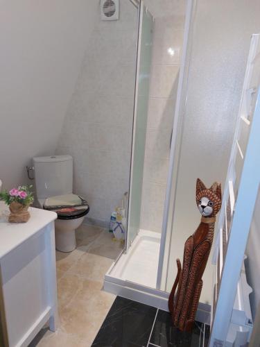 Shower, TIPI d'ANAIS in Glandon