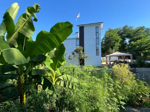 OK Sakhli VIP in Shekvetili