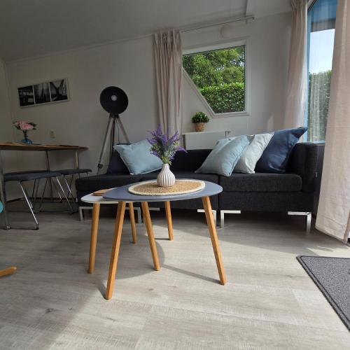 Knus houten huisje Tzummarum in Tzummarum