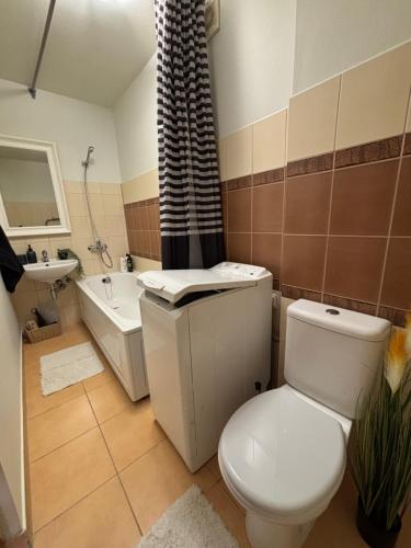 Self Check- in Cozy Apartment, Cēsis (foto 9)