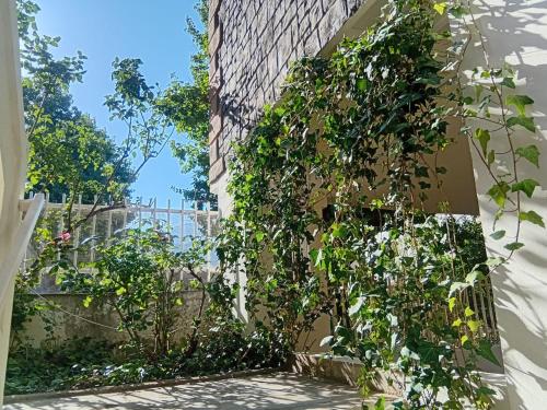 Bayt jeddy in Bcharre