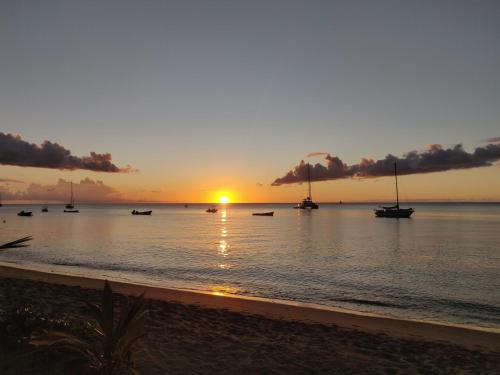 Appartement l'Amélie (Appartement l'Amelie) in Saint-Pierre