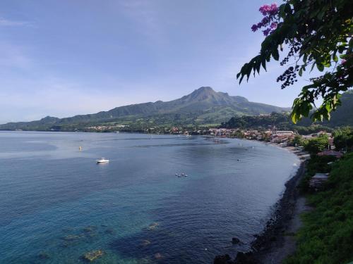 Appartement l'Amélie (Appartement l'Amelie) in Saint-Pierre