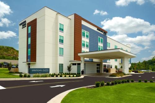 . SpringHill Suites by Marriott Ellijay