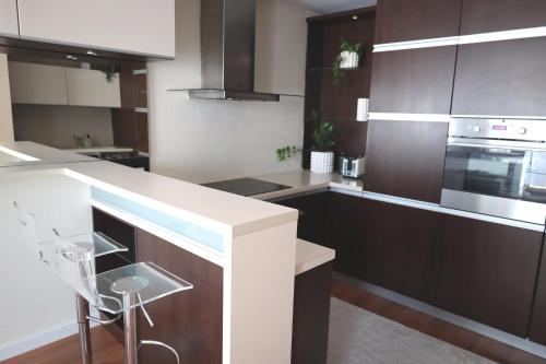 VIENNA GATE Apartment, free parking, Bratislava (fotografie 7)
