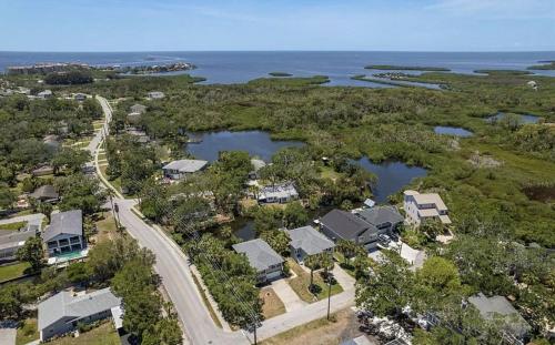 Omgeving, Retreat on the Bayou in Port Richey