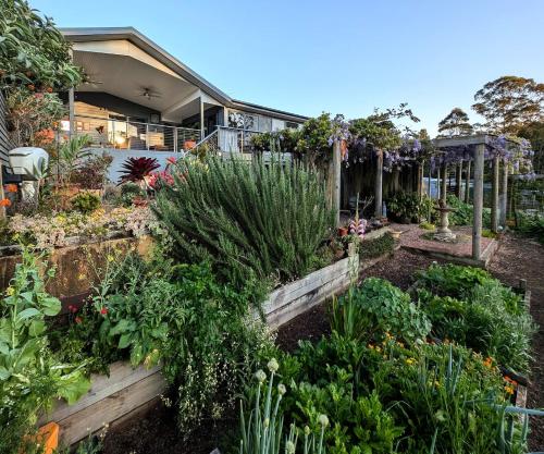 Misty River in Macksville
