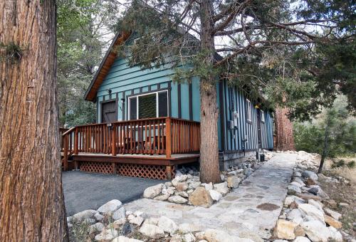 Moon Shadow in Big Bear City, USA