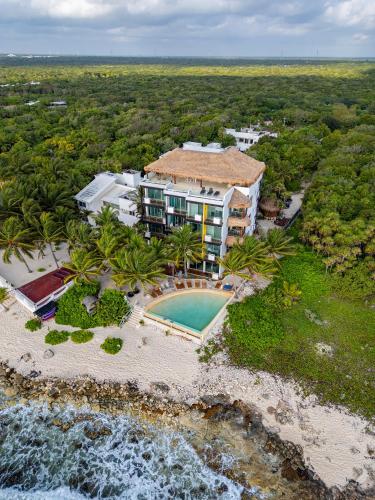 Angelina 28 Beachfront and Family Apartments - Modern and Relaxing Long Stays - 20 min from Cancun A