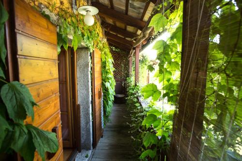 Viesnīcas āriene, Rozina Vacation House in Pliskovica