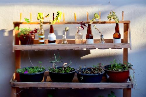 13 Cielos Hostel & Coworking – San Cristobal, SC