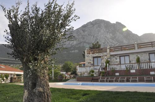 Taş Avlu Butik Otel - main image