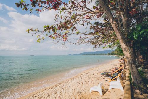 Strand, Chill Inn Lipa Noi Hostel and Beach Cafe near Lipa Noi Beach
