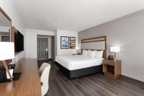 1 king bed