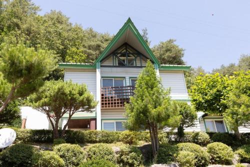 Inje Hachuri Undeokwi Hayanjib