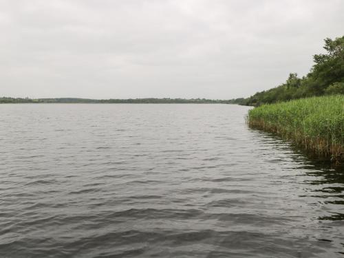 Exterior view, Swan Lake in Boyle