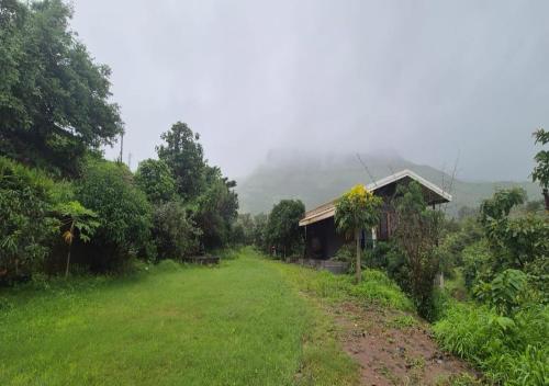 Ekaant Farmstays