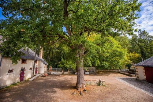 La Forge, Cour-Cheverny (photo 10)